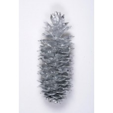 SUGAR PINE CONE SILVER 9"-14" STAKED  